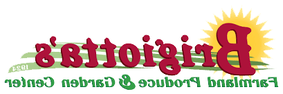 Brigiotta的logo